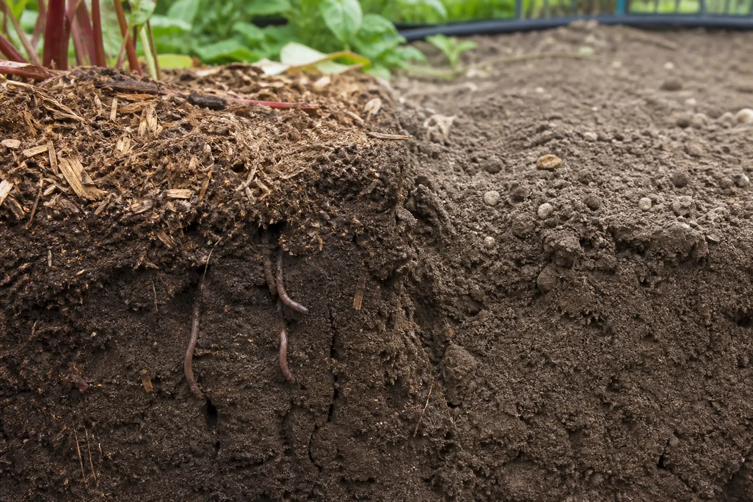 Close view of crumbly dark soil aggregates beneath pulled-back organic mulch