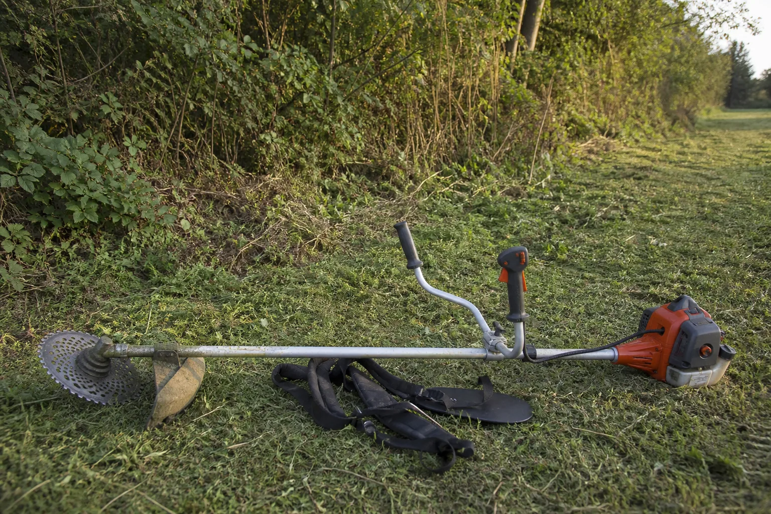 Brush cutter buying guide: match the blade, shaft, harness, and power to the job